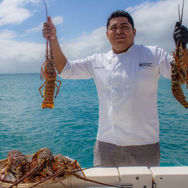 Chef privado sosteniendo dos langostas frescas del Caribe sobre el mar azul, con m&aacute;s langostas esperando en la baranda del barco.